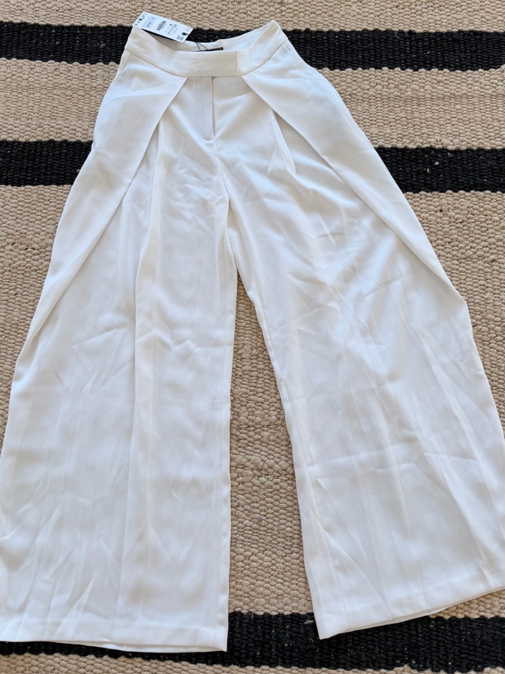 Zara ZW Collection Pleated Wide Leg Pants